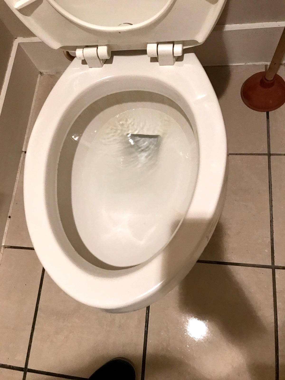 After: Toilet Sanitization
