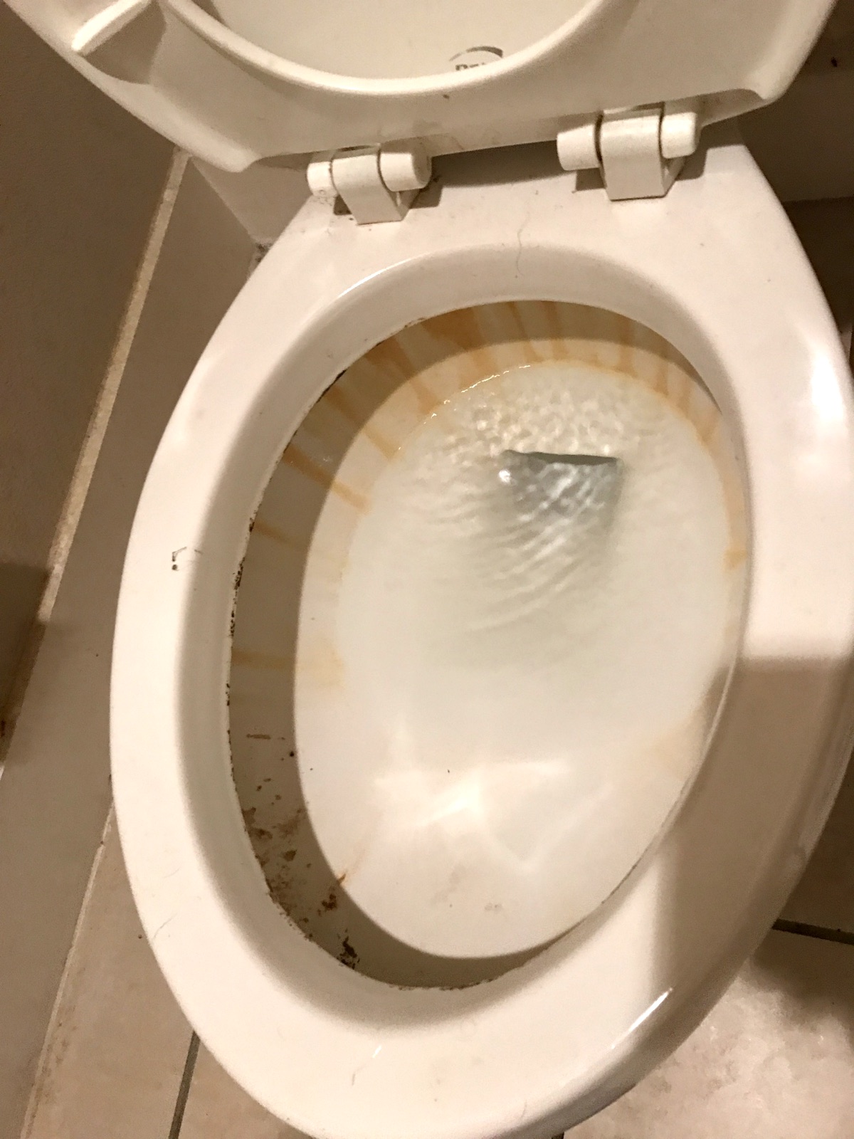 Before: Toilet Sanitization